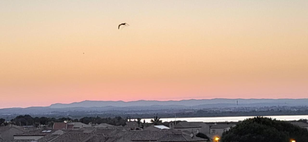 Chez Isabelle Et Virgile Bel Appartement, Avec Vues, A 50M De La Plage Palavas-les-Flots Esterno foto